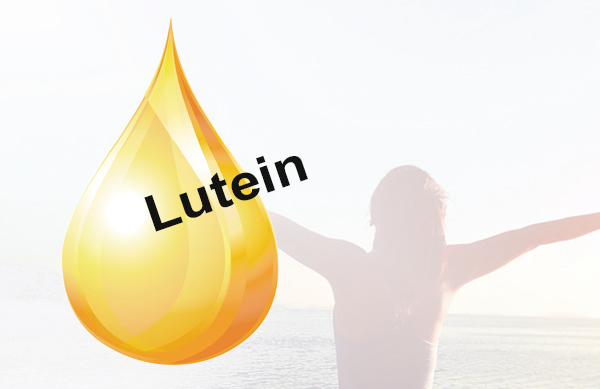 FitLine Lutein im Onlineshop